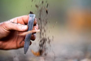 toprak bilimci çiftçi baharda bir tarlada toprak örneklerine ve çimenlere bakıyor. Bitkilerin ve toprak sağlığının büyümesine bakıyoruz. toprak örnekleri