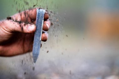 toprak bilimci çiftçi baharda bir tarlada toprak örneklerine ve çimenlere bakıyor. Bitkilerin ve toprak sağlığının büyümesine bakıyoruz. toprak örnekleri