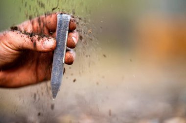 Yenileyici organik çiftçi, toprak örnekleri alıyor ve bir çiftlikteki bitkilere bakıyor. Sürdürülebilir tarım uygulaması. Amerika ve Avustralya 'da