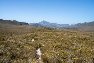 Vahşi doğada yolculuk yapmak. Tazmanya 'daki ulusal bir parkta yürüyüş pisti 