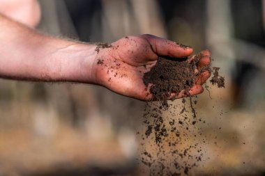 Çiftçi toprağı elinde tutuyor ve toprağa toprak döküyor. Karaya ve çevreye bağlı. Avustralya 'da toprak tarımı. Üniversite için toprak fundalığı eğitimi
