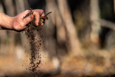 Çiftçi toprağı elinde tutuyor ve toprağa toprak döküyor. Karaya ve çevreye bağlı. Avustralya 'da toprak tarımı. Üniversite için toprak fundalığı eğitimi