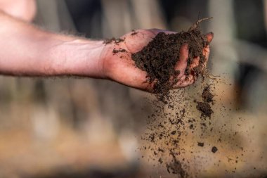 Gübre yığını, Tazmanya Avustralya 'da organik termofilik gübre üretimi. Avusturalya 'da toprak tutan çiftçi