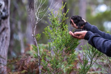 Üniversite öğrencisi orman sağlığı üzerine araştırma yapıyor. Çiftçi tarladaki bir test tüpünden toprak örnekleri topluyor. Agronomist Avustralya 'daki bir çiftlikte toprak karbon ve bitki sağlığını kontrol ediyor.