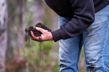 Üniversite öğrencisi orman sağlığı üzerine araştırma yapıyor. Çiftçi tarladaki bir test tüpünden toprak örnekleri topluyor. Agronomist Avustralya 'daki bir çiftlikte toprak karbon ve bitki sağlığını kontrol ediyor.