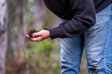 Üniversite öğrencisi orman sağlığı üzerine araştırma yapıyor. Çiftçi tarladaki bir test tüpünden toprak örnekleri topluyor. Agronomist Avustralya 'daki bir çiftlikte toprak karbon ve bitki sağlığını kontrol ediyor.