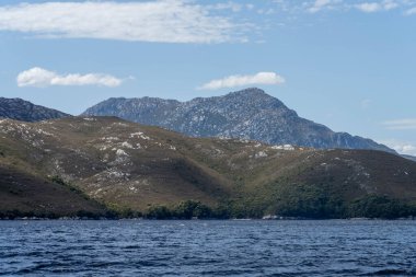 Avustralya 'nın ücra ormanlarında, baharda Avustralya ve Yeni Zelanda' da bir yatta denize açılmak.