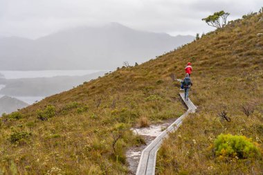 Avustralya 'da bir yağmur ormanında yerli bitki ve ağaçların bulunduğu bir milli parktaki vahşi doğada dağlar, Tazmanya' da ulusal bir parkta büyüyen bir orman. Nehirler ve Yeni Zelanda 'yı keşfetmek
