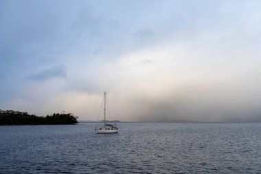 Avustralya 'da bir yatta yelken açmak. Baharda Avustralya' nın ıssız ormanlarında. 