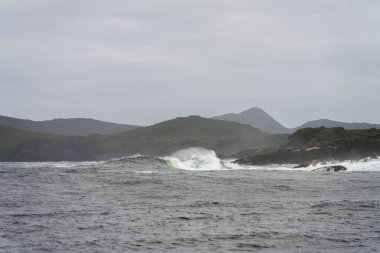 Avustralya 'da bir yatta yelken açmak. Baharda Avustralya' nın ıssız ormanlarında. 