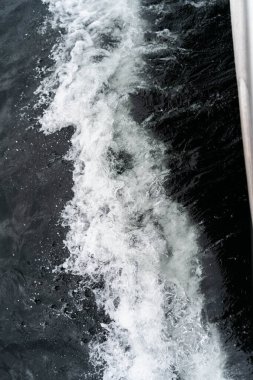 Avustralya çalılıklarında bir milli parktaki nehirde bulunan teneke sandal.