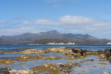 Avustralya 'nın ıssız ormanlarında, ilkbaharda, Avustralya' nın sahil şeridindeki bir sahilde dalgalanan bir yatla denize açılmak.