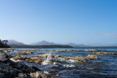 Avustralya 'nın ıssız ormanlarında, ilkbaharda, Avustralya' nın sahil şeridindeki bir sahilde dalgalanan bir yatla denize açılmak.