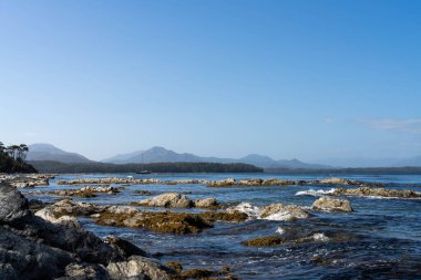 Avustralya 'nın ıssız ormanlarında, ilkbaharda, Avustralya' nın sahil şeridindeki bir sahilde dalgalanan bir yatla denize açılmak.
