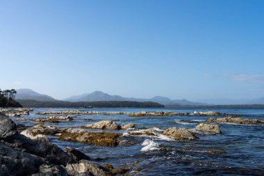 Avustralya 'nın ıssız ormanlarında, ilkbaharda, Avustralya' nın sahil şeridindeki bir sahilde dalgalanan bir yatla denize açılmak.