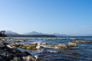 Avustralya 'nın ıssız ormanlarında, ilkbaharda, Avustralya' nın sahil şeridindeki bir sahilde dalgalanan bir yatla denize açılmak.