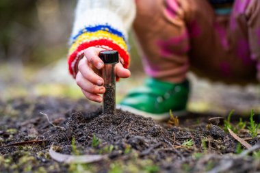 Çocuk tarlada toprak testi için toprak örneği alıyor. Aile çiftliği karbon ve bitki sağlığını test ediyor