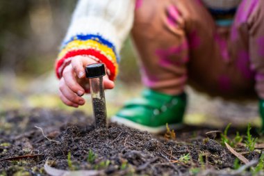 Çocuk tarlada toprak testi için toprak örneği alıyor. Aile çiftliği karbon ve bitki sağlığını test ediyor