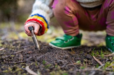 Çocuk tarlada toprak testi için toprak örneği alıyor. Aile çiftliği karbon ve bitki sağlığını test ediyor
