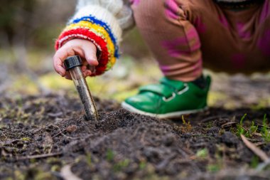 Çocuk tarlada toprak testi için toprak örneği alıyor. Aile çiftliği karbon ve bitki sağlığını test ediyor