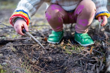 Çocuk tarlada toprak testi için toprak örneği alıyor. Aile çiftliği karbon ve bitki sağlığını test ediyor