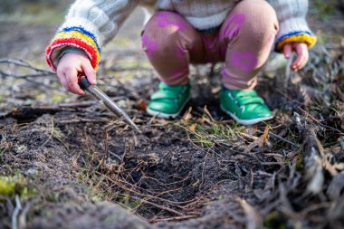 Çocuk tarlada toprak testi için toprak örneği alıyor. Aile çiftliği karbon ve bitki sağlığını test ediyor