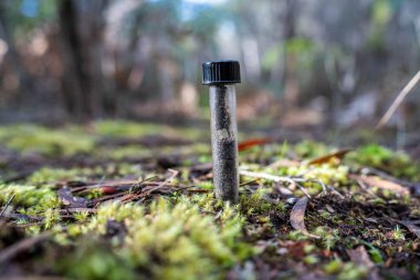 Toprak tutan çiftçi, ev laboratuarında toprak testi yapıyor. Avustralya 'daki toprak yaşamı ve sağlığa bakıyorum.