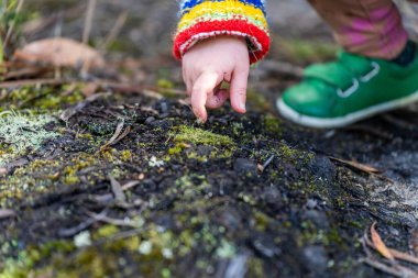 Küçük bir kız ormanda küçük bir ağaç tutuyor..