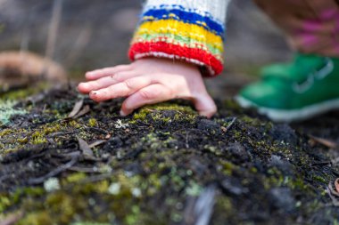 Ormanda elinde çiçekle bir çocuk eli