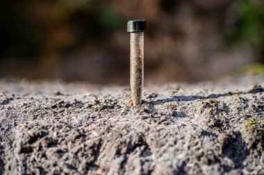 Eski bir kütüğün üzerindeki küçük metal vidanın dikey görüntüsü.