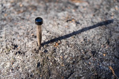 Toprak tutan çiftçi, ev laboratuarında toprak testi yapıyor. Avustralya 'daki toprak yaşamı ve sağlığa bakıyorum.