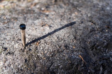 Üniversite öğrencisi orman sağlığı üzerine araştırma yapıyor. Çiftçi tarladaki bir test tüpünden toprak örnekleri topluyor. Çiftlikteki toprak karbon ve bitki sağlığını kontrol eden tarımcı. 