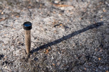 Üniversite öğrencisi orman sağlığı üzerine araştırma yapıyor. Çiftçi tarladaki bir test tüpünden toprak örnekleri topluyor. Çiftlikteki toprak karbon ve bitki sağlığını kontrol eden tarımcı.