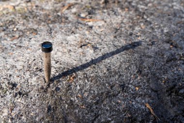 Üniversite öğrencisi orman sağlığı üzerine araştırma yapıyor. Çiftçi tarladaki bir test tüpünden toprak örnekleri topluyor. Çiftlikteki toprak karbon ve bitki sağlığını kontrol eden tarımcı.