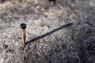 Üniversite öğrencisi orman sağlığı üzerine araştırma yapıyor. Çiftçi tarladaki bir test tüpünden toprak örnekleri topluyor. Çiftlikteki toprak karbon ve bitki sağlığını kontrol eden tarımcı. 