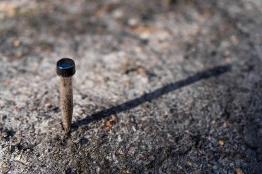 Toprak tutan çiftçi, ev laboratuarında toprak testi yapıyor. Avustralya 'daki toprak yaşamı ve sağlığa bakıyorum.