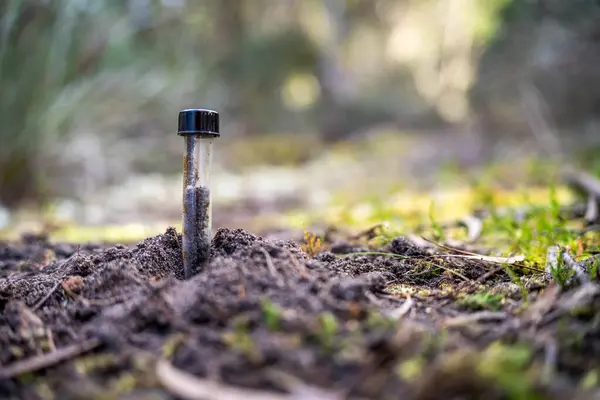 stock image a shovel in a ground