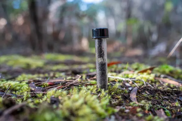 stock image university student conducting research on forest health. farmer collecting soil samples in a test tube in a field. Agronomist checking soil carbon and plant health on a farm