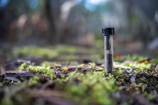 stock image university student conducting research on forest health. farmer collecting soil samples in a test tube in a field. Agronomist checking soil carbon and plant health on a farm