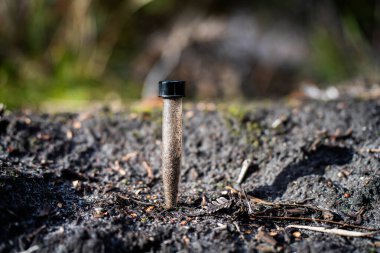 Üniversite öğrencisi orman sağlığı üzerine araştırma yapıyor. Çiftçi tarladaki bir test tüpünden toprak örnekleri topluyor. Çiftlikteki toprak karbon ve bitki sağlığını kontrol eden tarımcı. 