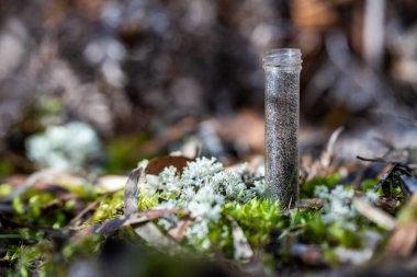 mushroom growing in the bush, turning a compost pile in a community garden. compost full of microorganisms. sustainable regenerative agriculture in australia clipart