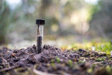 Eski su borusu yosunlarla kaplı.