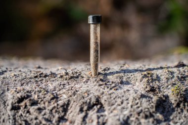 Üniversite öğrencisi orman sağlığı üzerine araştırma yapıyor. Çiftçi tarladaki bir test tüpünden toprak örnekleri topluyor. Çiftlikteki toprak karbon ve bitki sağlığını kontrol eden tarımcı. 