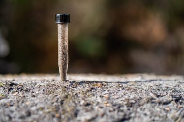 Toprak tutan çiftçi, ev laboratuarında toprak testi yapıyor. Avustralya 'daki toprak yaşamı ve sağlığa bakıyorum.