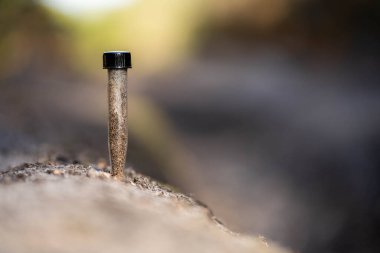 Üniversite öğrencisi orman sağlığı üzerine araştırma yapıyor. Çiftçi tarladaki bir test tüpünden toprak örnekleri topluyor. Çiftlikteki toprak karbon ve bitki sağlığını kontrol eden tarımcı. 