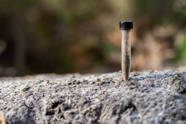 Üniversite öğrencisi orman sağlığı üzerine araştırma yapıyor. Çiftçi tarladaki bir test tüpünden toprak örnekleri topluyor. Çiftlikteki toprak karbon ve bitki sağlığını kontrol eden tarımcı.