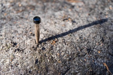 Toprak tutan çiftçi, ev laboratuarında toprak testi yapıyor. Avustralya 'daki toprak yaşamı ve sağlığa bakıyorum.