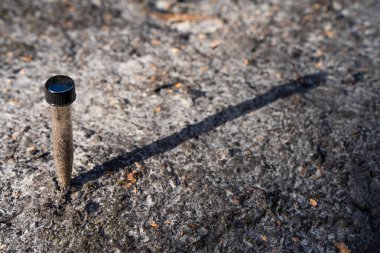 Üniversite öğrencisi orman sağlığı üzerine araştırma yapıyor. Çiftçi tarladaki bir test tüpünden toprak örnekleri topluyor. Çiftlikteki toprak karbon ve bitki sağlığını kontrol eden tarımcı.