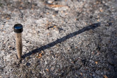 Üniversite öğrencisi orman sağlığı üzerine araştırma yapıyor. Çiftçi tarladaki bir test tüpünden toprak örnekleri topluyor. Çiftlikteki toprak karbon ve bitki sağlığını kontrol eden tarımcı. 