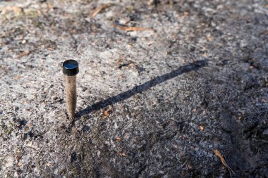 Toprak tutan çiftçi, ev laboratuarında toprak testi yapıyor. Avustralya 'daki toprak yaşamı ve sağlığa bakıyorum.